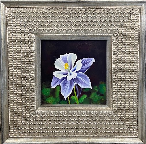 Click to view detail for The Classic 6x6 $250